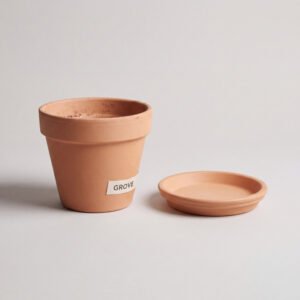 Terracotta Pot, 12 cm